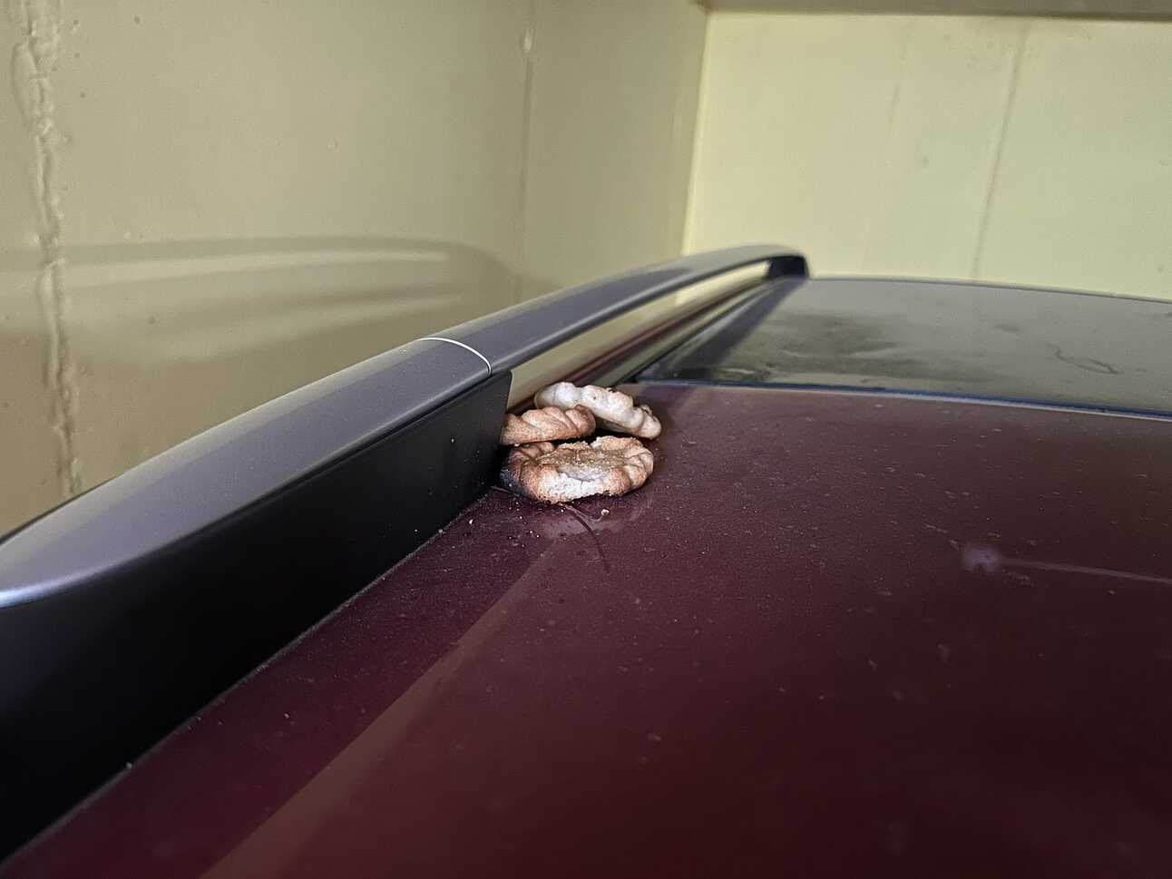 Foto de las 3 tortas supervivientes en el techo del coche. Están en un lado, como pegadas al portaequipajes.