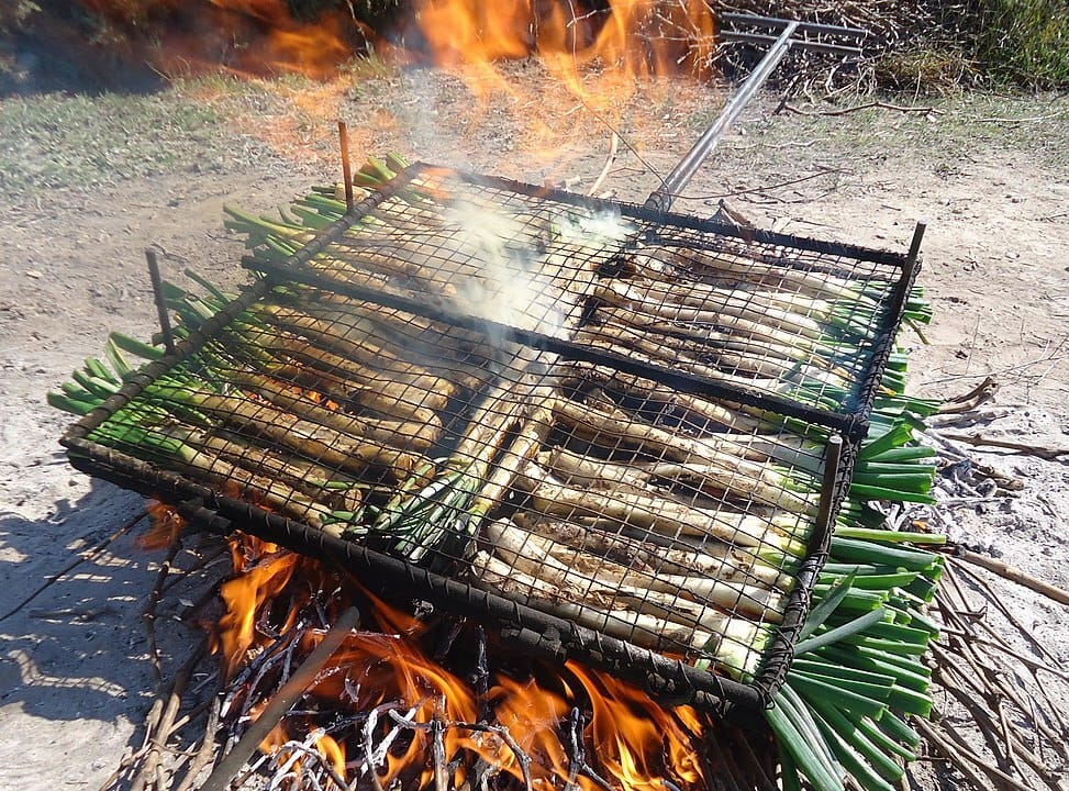 Tiempo de calçots 🍠
